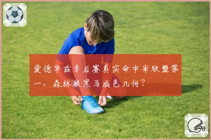 爱德华兹季后赛真实命中率联盟第一，森林狼黑马成色几何？