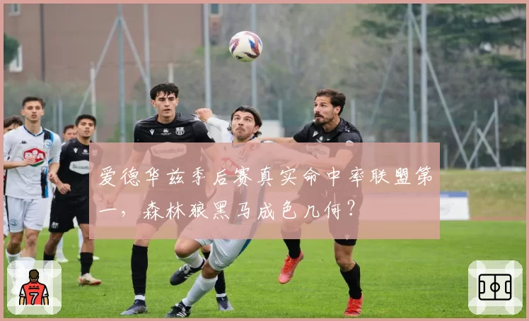 爱德华兹季后赛真实命中率联盟第一，森林狼黑马成色几何？