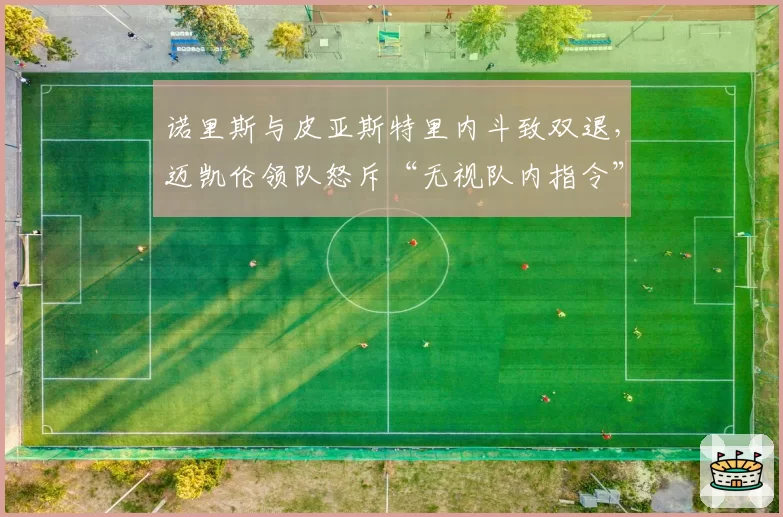 诺里斯与皮亚斯特里内斗致双退，迈凯伦领队怒斥“无视队内指令”