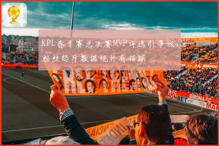 KPL春季赛总决赛MVP评选引争议，粉丝怒斥数据统计有猫腻