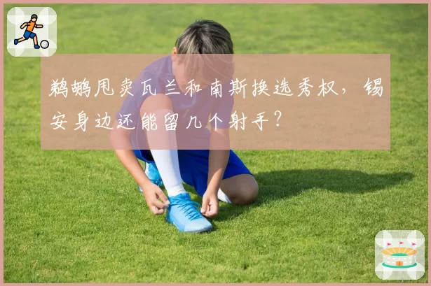 鹈鹕甩卖瓦兰和南斯换选秀权,锡安身边还能留几个射手?